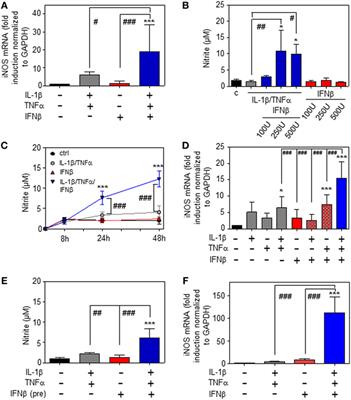 Type I Interferon Supports Inducible Nitric Oxide Synthase in Murine Hepatoma Cells and Hepatocytes and during Experimental Acetaminophen-Induced Liver Damage